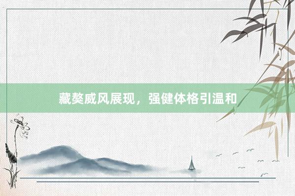 藏獒威风展现,强健体格引温和