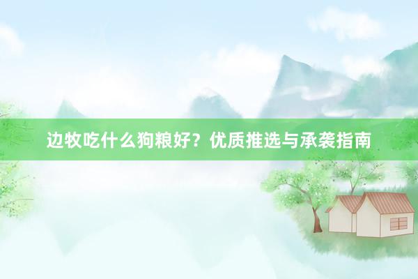 边牧吃什么狗粮好？优质推选与承袭指南